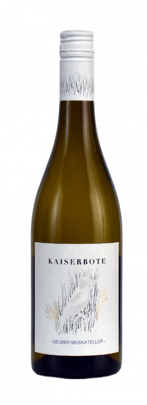 Kaiserbote Gelber Muskateller 2025