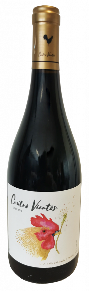 Cuatro Vientos Reserve Syrah